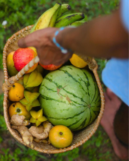 Food & Drinks 5, Coccoloba Beach Hostel, Riohacha