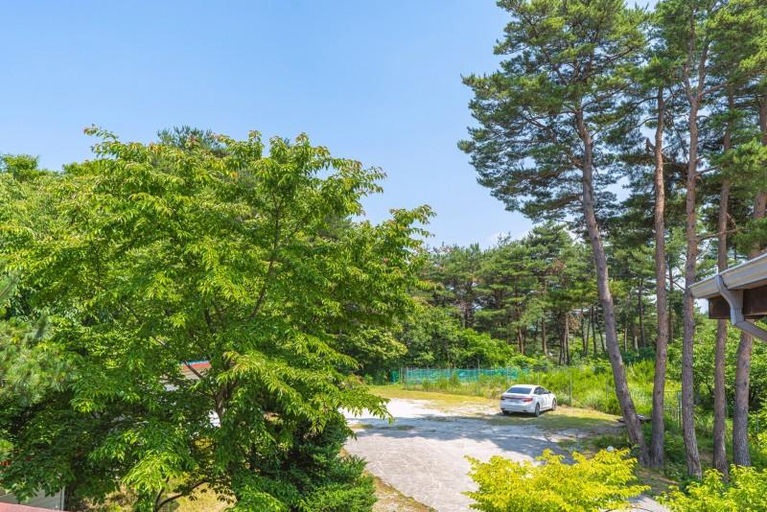 Others 4, Gangneung Raemian Pension, Gangneung