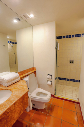 Bathroom 5, Club Regina Puerto Vallarta managed by Accor, Puerto Vallarta