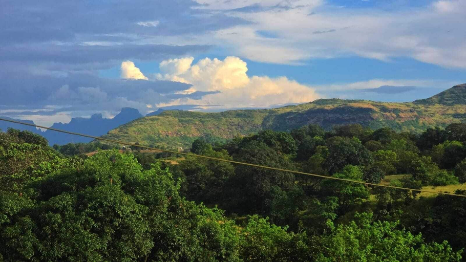 Miscellaneous, Lavendar 316, Nashik
