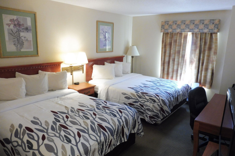 Bedroom 5, Red Roof Inn & Suites Galloway, Atlantic