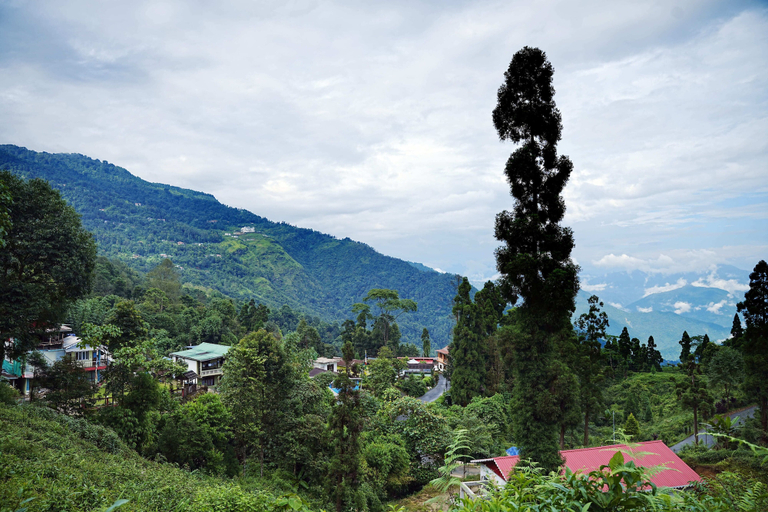 Miscellaneous 4, GADEN HOMESTAY RANGLI, Darjiling