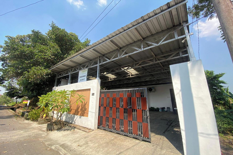 Primary image