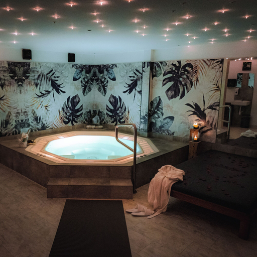 Spa 5, Relax Hotel & SPA Stuttgart, Stuttgart