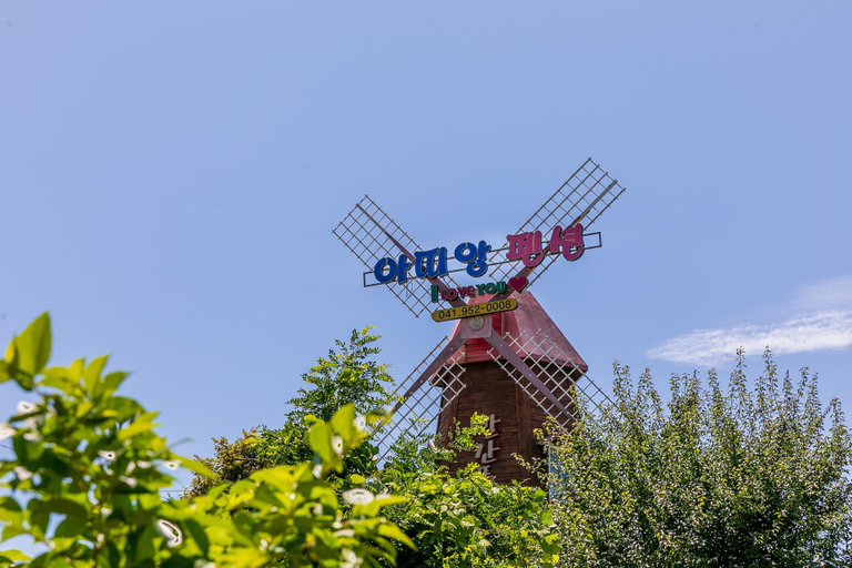 Others 2, Seocheon Red Windmill Attiang Pension, Seocheon
