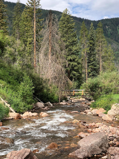 Miscellaneous 4, Gore Circle Chalet, 4BD Private East Vail Home, Eagle