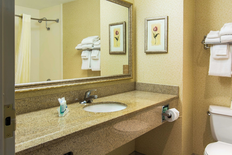 Bathroom, Sleep Inn Lexington, Fayette