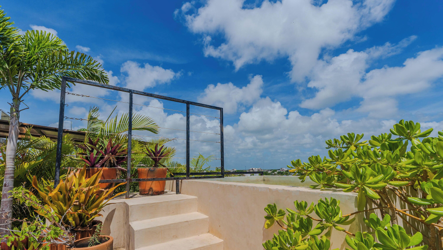 Rooftop pool 4, Soko Tulum, Cozumel