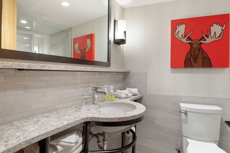 Bathroom 5, Moose Hotel And Suites, Division No. 15
