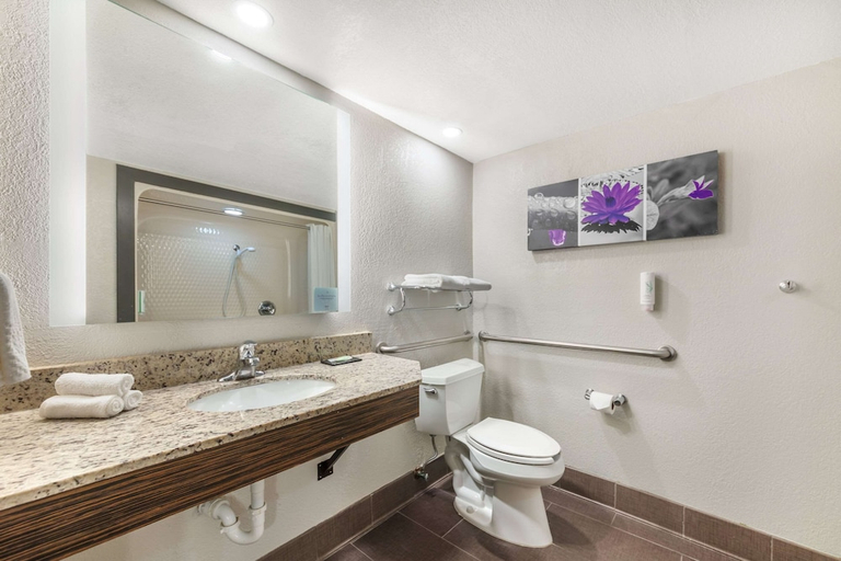 Bathroom 4, Sleep Inn Miami International Airport, Miami-Dade