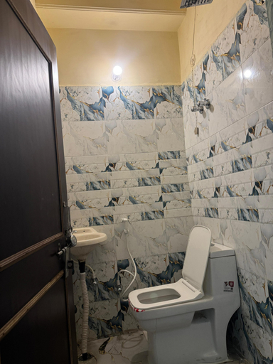 Bathroom 4, Hotel Max Apple In, Agra