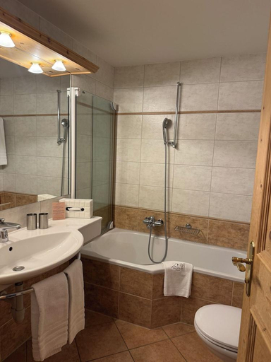 Bathroom 4, Hotel Albatros, Visp