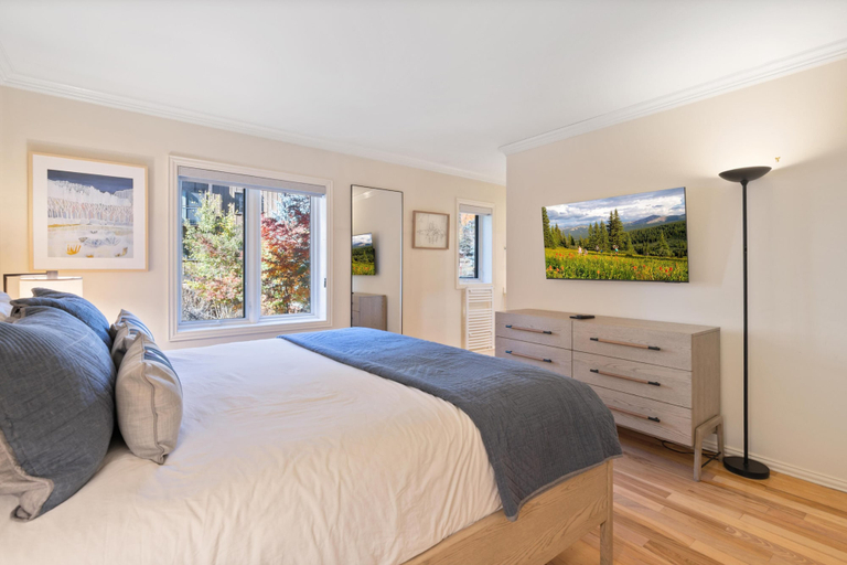 Room 2, Westwind 209 1bd, 1BA Platinum Condo in Lionshead Village, Eagle