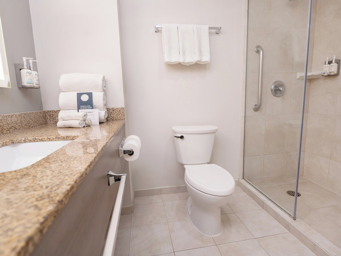 Bathroom 5, Holiday Inn Express & Suites MONTERREY AEROPUERTO, Apodaca