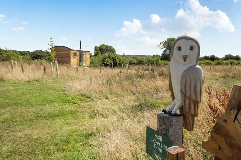 Property grounds, Shepherds hut With log Burner, Redcar and Cleveland