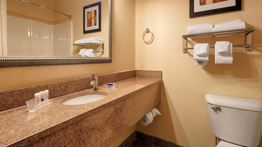 Bathroom 4, Best Western Plus Pontoon Beach, Madison