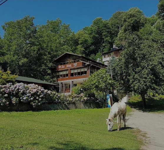 Exterior, Özde Dağ Evi