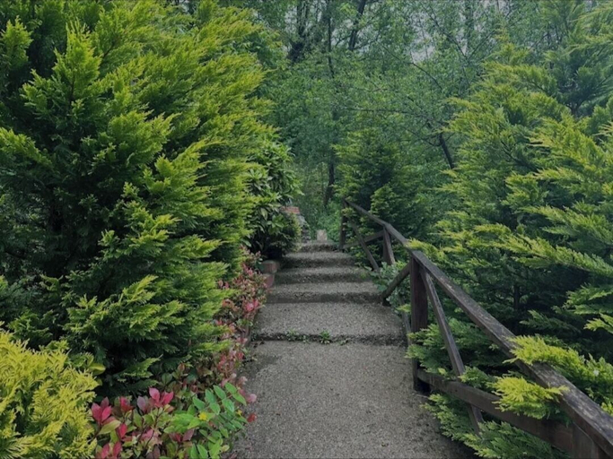 Property grounds, Özde Dağ Evi