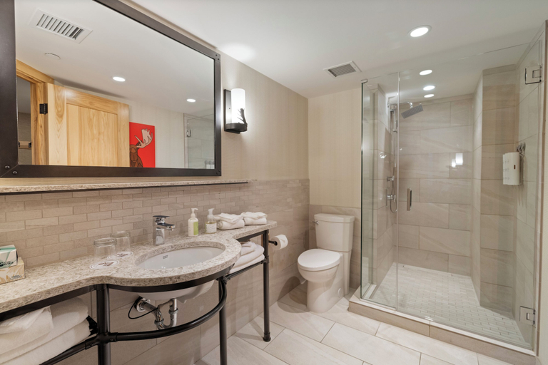 Bathroom 5, Moose Hotel And Suites, Division No. 15