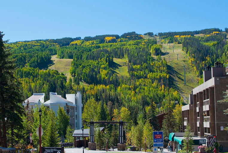 Miscellaneous 4, Treetops 6A, 3BD Ski-in Ski-out Condo, Eagle
