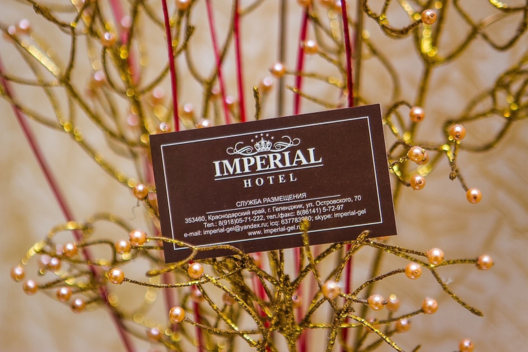 Food & Drinks 5, Imperial Hotel, Gelendzhik gorsovet