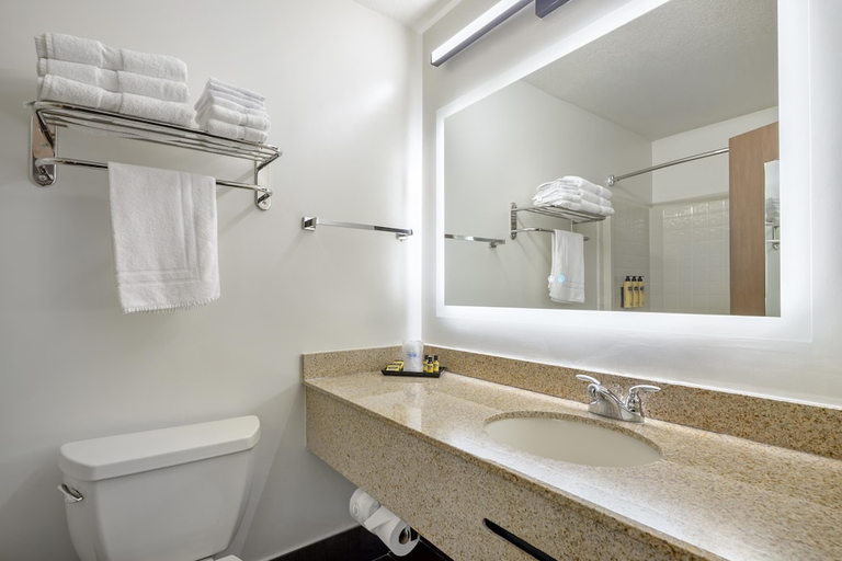 Bathroom 4, Best Western Plus Meridian, Ada