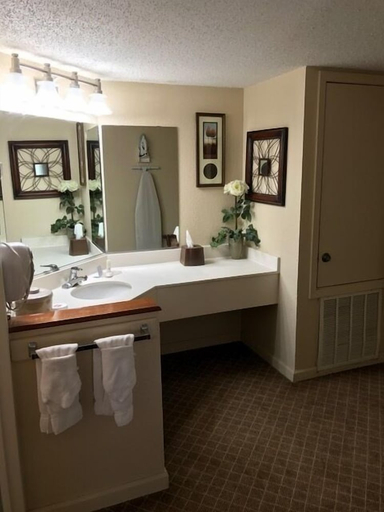 Bathroom 4, Clarion Inn Morgan City, Saint Mary
