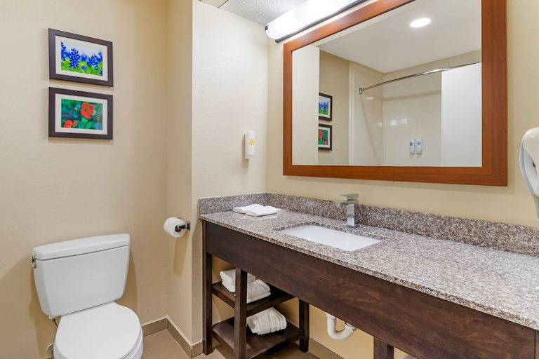 Bathroom 4, Comfort Suites Deer Park Pasadena, Houston