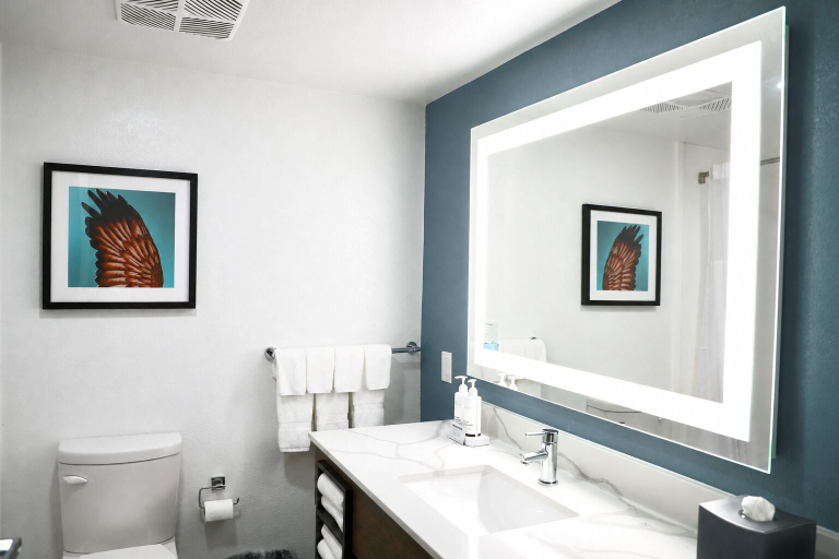 Bathroom 5, La Quinta Inn & Suites by Wyndham Auburn - University Area, Lee
