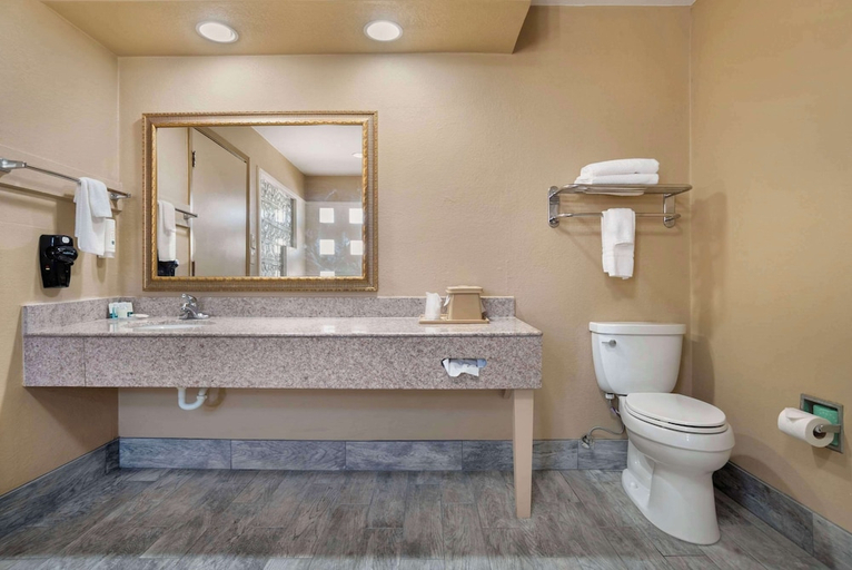 Bathroom 5, Quality Inn Brookhaven, Lincoln
