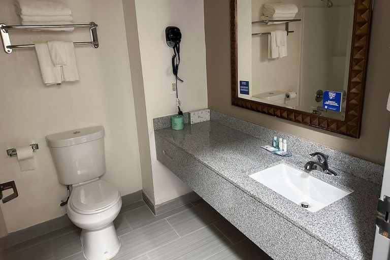 Bathroom, Quality Inn Hazlehurst, Copiah