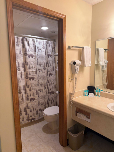 Bathroom 4, Ozark Valley Lodge, Taney