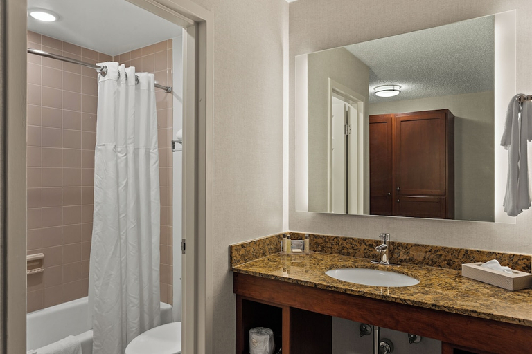 Bathroom 4, Wingate by Wyndham South Bend/Notre Dame, Saint Joseph