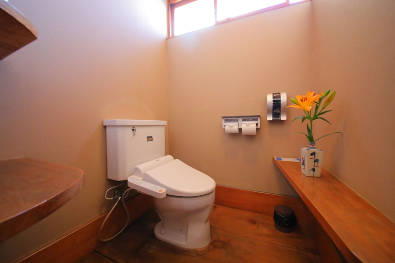 Bathroom 3, Ryokan Dougoya, Matsuyama