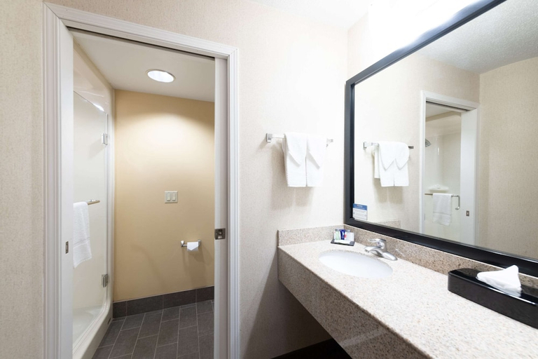 Bathroom 4, Sleep Inn & Suites Green Bay South, Brown