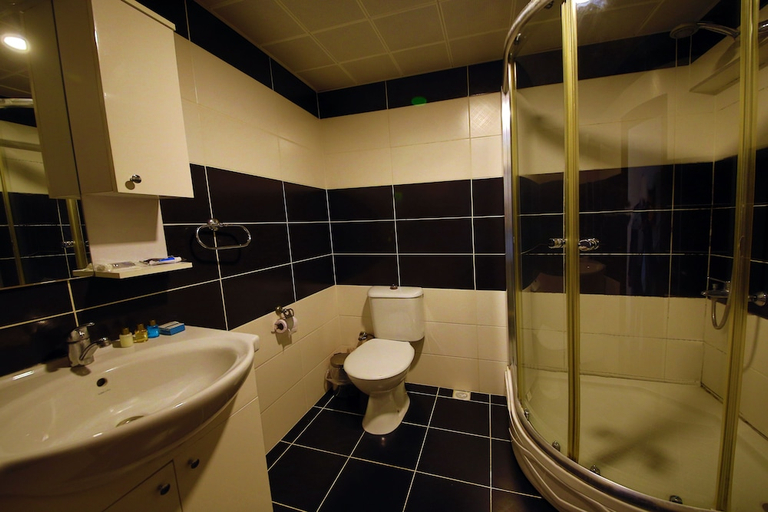 Bathroom 5, Otel Altay, Merkez