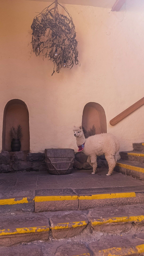 Primary image, Loki Boutique Cusco, Cusco