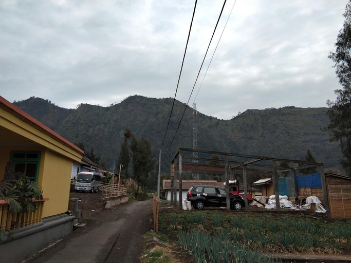 Exterior & Views, Bromo Authentic Homestay, Probolinggo