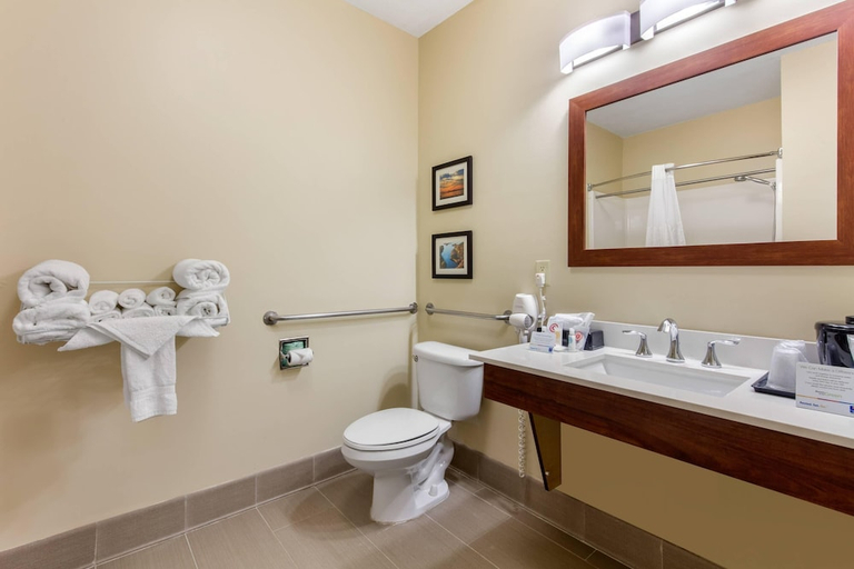 Bathroom, Comfort Inn & Suites McComb, Pike