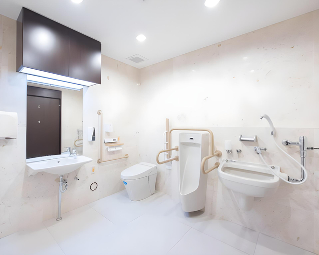 Bathroom 4, Toyoko Inn Iwakuni-eki Nishi-guchi, Iwakuni