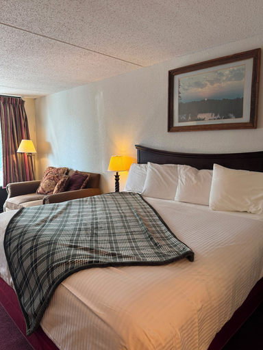 Bedroom 3, Ozark Valley Lodge, Taney