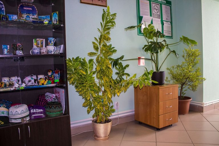 Food & Drinks, Mini-Hotel na Naberezhnoy, Vysokogorskiy rayon