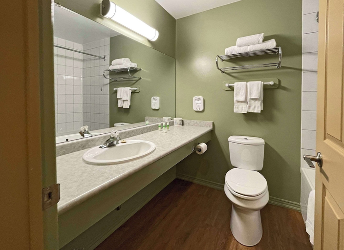 Bathroom 4, The Grand Tappattoo Resort, an Ascend Collection Resort, Parry Sound