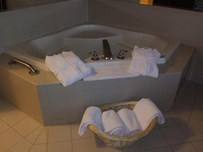 Bathroom 4, Country Inn & Suites by Radisson, Dundee, MI, Monroe