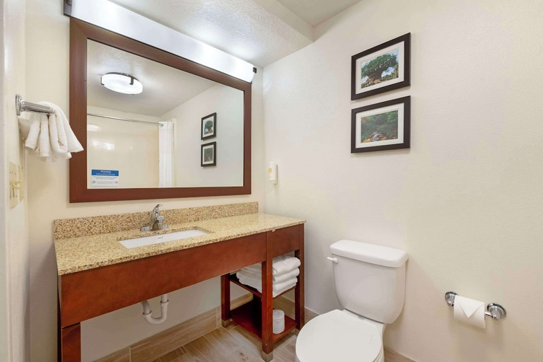 Bathroom 4, Comfort Suites Downtown, Orange