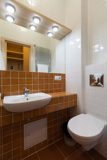 Bathroom 2, Izhhotel, Zav'yalovskiy rayon