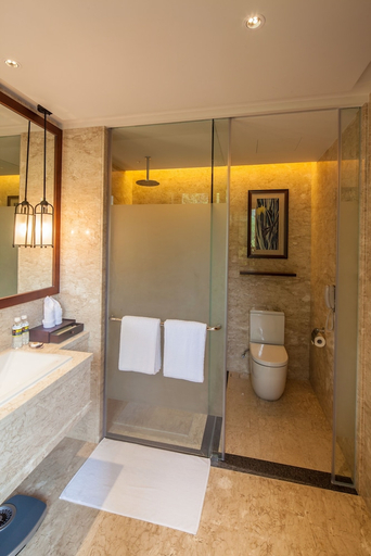 Bathroom 5, Wuzhishan Yatai Rainforest Hotel, Hainan