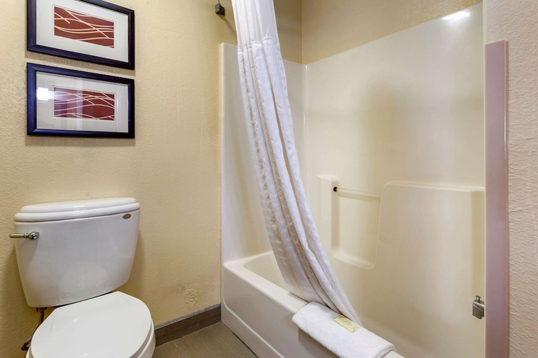 Bathroom 3, Comfort Inn & Suites North Aurora - Naperville, Kane