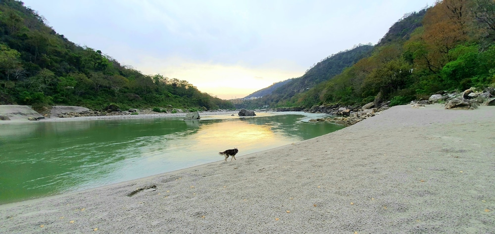 Others 4, Divine Ganga Cottage, Garhwal