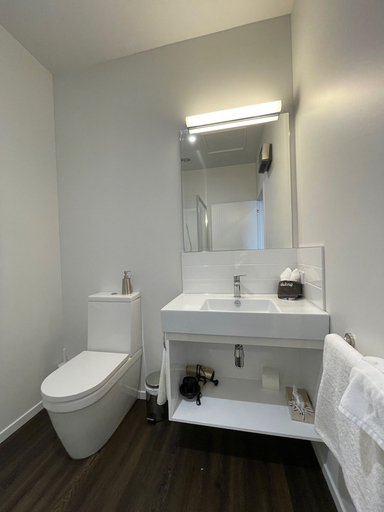 Bathroom 3, Sierra Motel, Waitaki